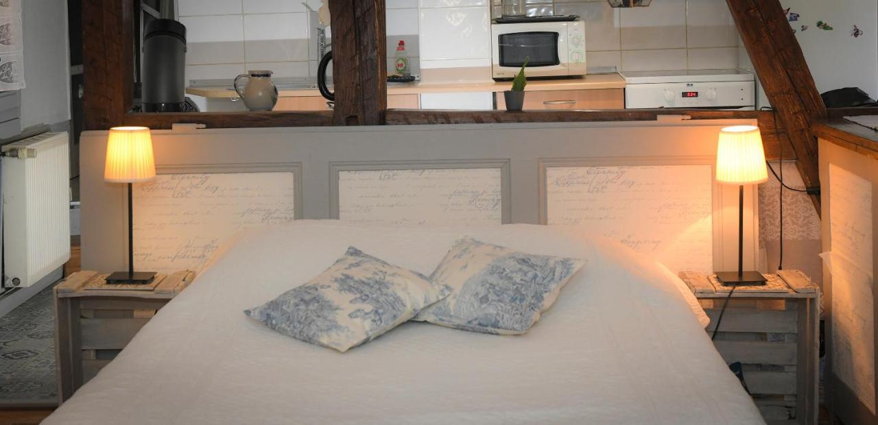 Appartamento Le Duplex Colmar Esterno foto